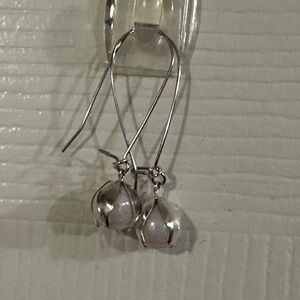 Elegant Silver Drop Earrings